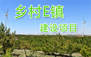 鄉村e鎮建設項目